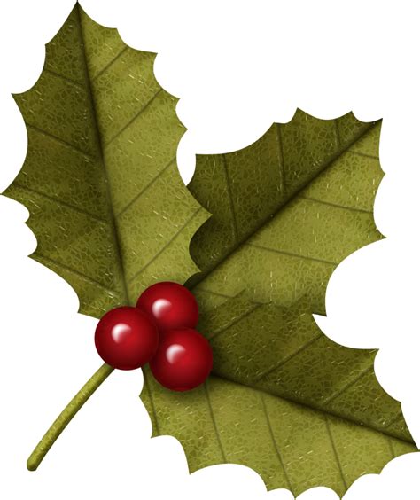 Holly Clipart Winter Holly Winter Transparent Free For Download On