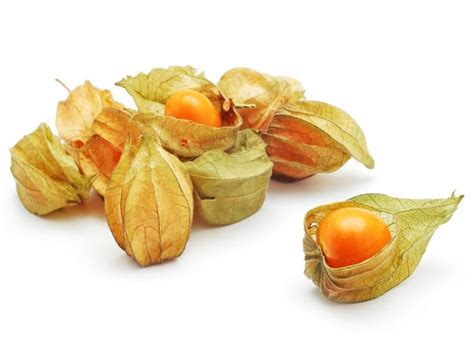 Physalis Peruviana Golden Berries With Multiple Benefits Nuturally