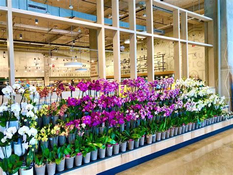 Whole Foods Market Opens in Downtown Nashville