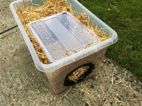 How To Build A Feral Cat Shelter For Winter Angies List