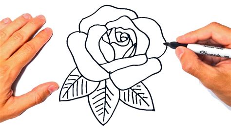 top 97 imagen dibujos de rosas paso a paso expoproveedorindustrial mx
