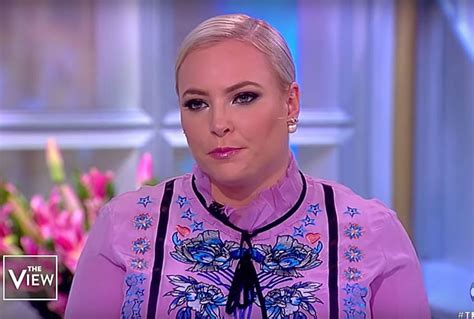 The View Co Host Meghan Mccain Tries To Pin The Blame For Donald