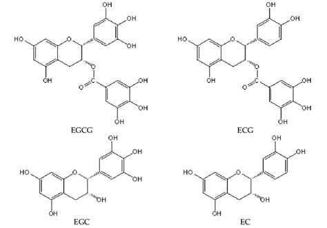 The Structures Of Four Kinds Of Catechins Epicatechin Ec