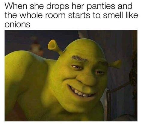 Someone Should Write A Fan Fiction About Shrek That Will Be Called 50