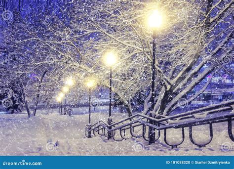 Winter Scene Snowfall In Night Park With Lanterns Christmas