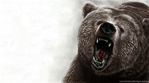 Angry Bear Wallpapers Wallpaper Cave