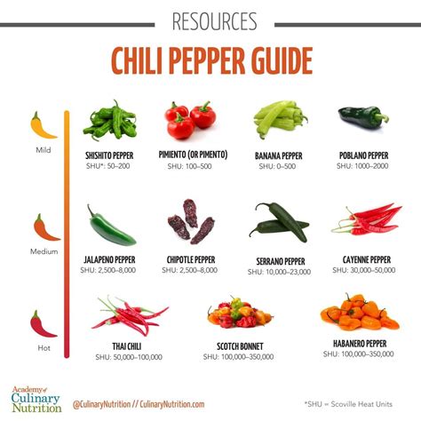 Culinary Nutrition Guide To Chili Peppers Health Benefits And Best