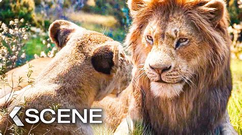 Can You Feel The Love Tonight Song Scene The Lion King 2019 Youtube
