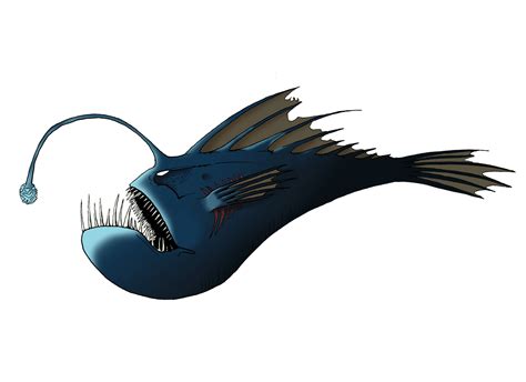 Angler Fish By Luckysevenk42 On Deviantart