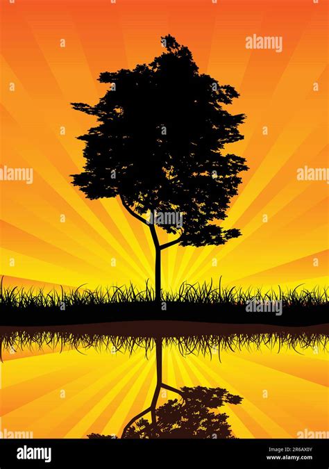 Silhouette Of A Tree With Reflections Stock Vector Image And Art Alamy