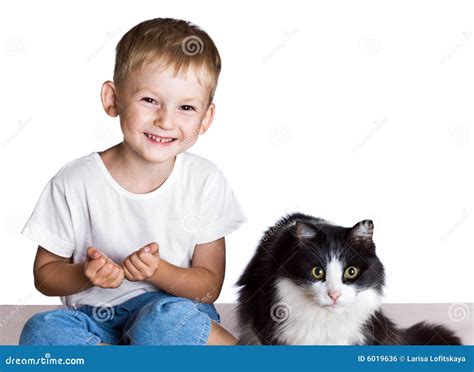 Little Boy And Big Cat Royalty Free Stock Image Image 6019636