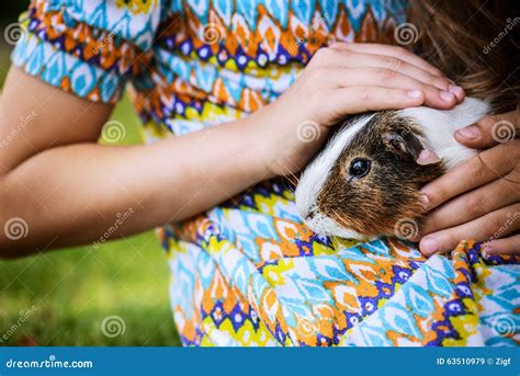 Little Girl Petting Guinea Pig Stock Image Image Of Indian Blonde