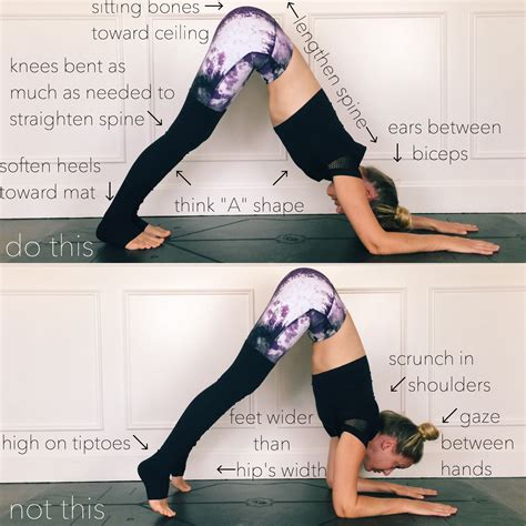 Dolphin Pose Instagram Chelseasyoga Yoga Poses Dolphin Pose Yoga