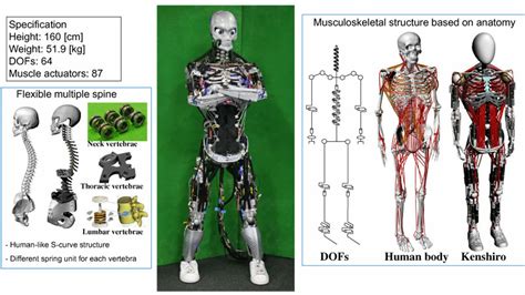 Humanoid Robot Body Parts Robotics Body Parts Images Stock Photos