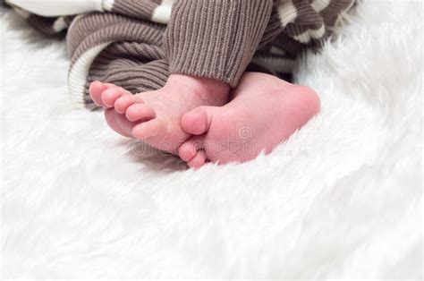 Legs Little Newborn Baby Boy Stock Image Image Of Finger Gesture