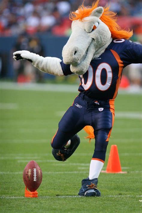 Denver Broncos Mascot Miles The Bronco The Powerful Horse Known As
