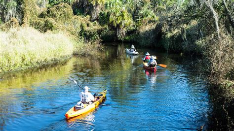 Little Manatee River State Park Tampa Consejos Antes De Viajar