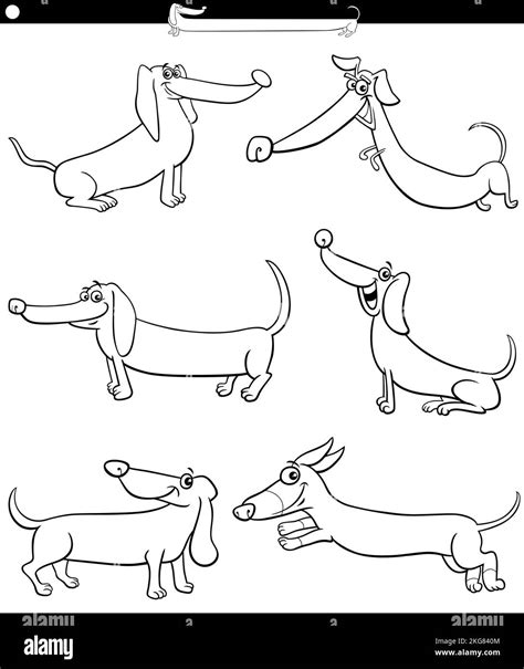 Black And White Cartoon Illustration Of Dachshunds Purebred Dogs Comic