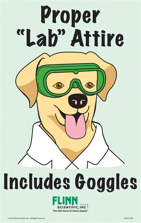 Here at the laboratory safety institute, we confront the issue of convincing . Flinn Favorite Goggle Safety Posters