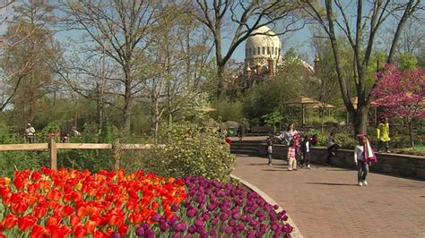 Zoo Blooms Cincinnati Zoo And Botanical Garden Youtube