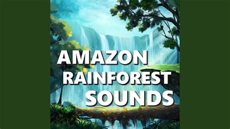Amazing Rainforest Sounds Youtube