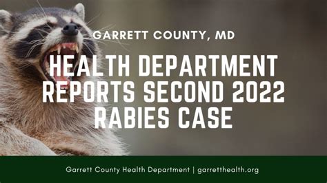 Health Department Reports Second 2022 Rabies Case Gcehaug2022 Garrett County Health Department