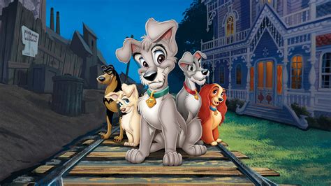 Lady And The Tramp Ii Scamps Adventure Disney