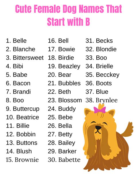 Female Puppy Names Starting With K 300 Unique Female Dog Names By