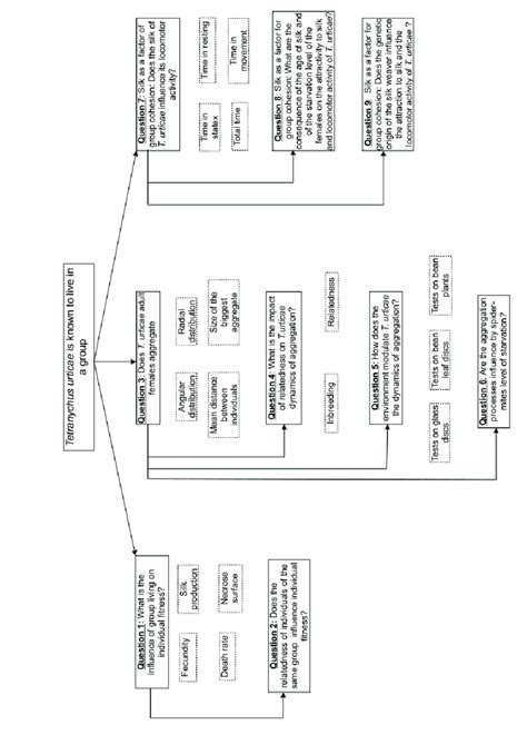 Flow Chart Of The Phd Thesis Showing The Different Steps Of The Study