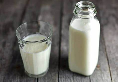 Снятое молоко при диете Сколько переваривается молоко: в желудке человека — Русский Завтрак Сколько переваривается молоко: в желудке человека — Русский Завтрак Снятое молоко при диете