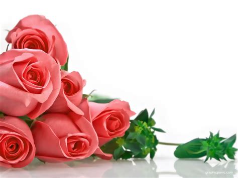 Roses Powerpoint Background