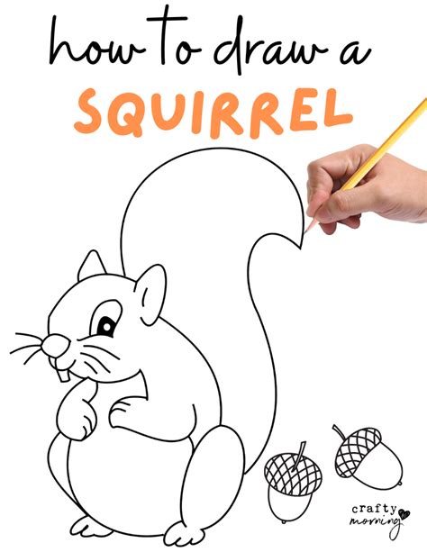 How To Draw A Squirrel Easy Step By Step Crafty Morning