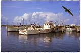 Photos of Fishing Near The Villages Florida