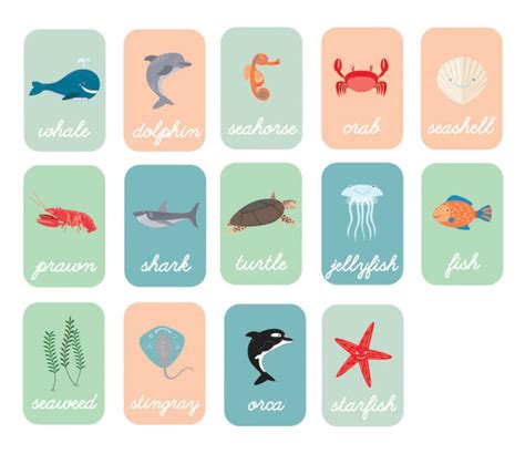 Sea Animals Flash Cards Printable Falsh Cards Animals Flash Etsy México
