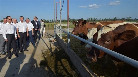 Новости - Правительство России