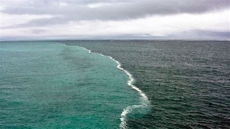 5 Razones Por Las Que Las Dos Aguas Del Golfo De Alaska Nunca Llegan A