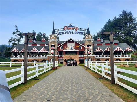 Serunya Ke Cimory Dairyland Puncak Lapis Bogor Sangkuriang