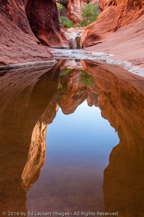 Sandstone Reflections Red Cliffs National Conservation Area Utah Ed