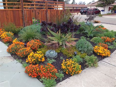 Drought Tolerant Landscape Plants – Madison Art Center Design