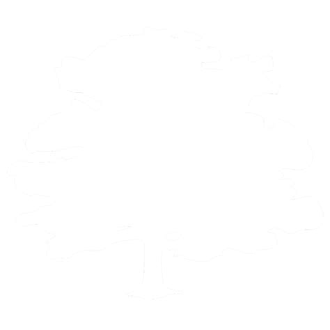 The Forest Road Company