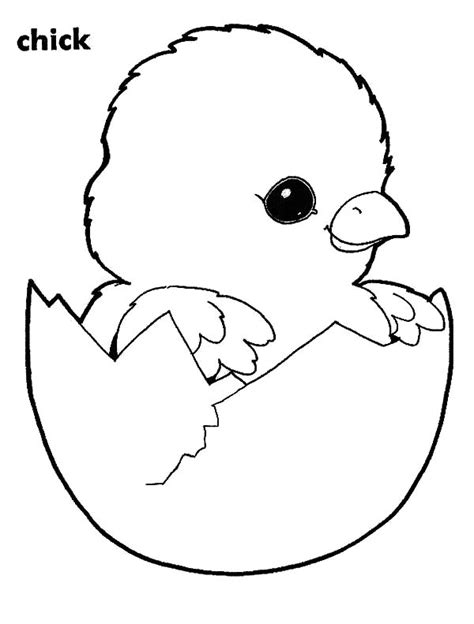 Adorable Chick Hatching Coloring Pages Best Place To Color