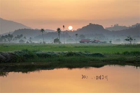 Premium Photo Beautiful Landscape Of Morning Sunrise Over Paddy Field