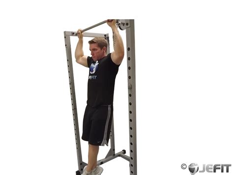 Rocky Pull Ups And Pulldowns Exercise Database Jefit Best Android