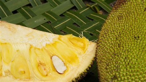 Heres Why Jackfruit Is Now Keralas Official Fruit News Khaleej Times