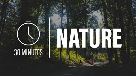 Sounds Of Nature 30 Minutes I Bruit De La Nature 30 Minutes Youtube