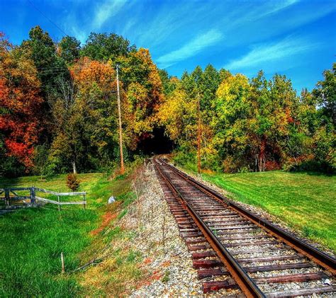 Hd Wallpaper Nature Plant Tree Rail Transportation Railroad Track