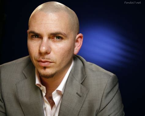 Pitbull Rapper Wallpapers Top Những Hình Ảnh Đẹp