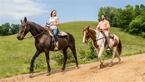 Five Oaks Riding Stables Dubbys Attractions