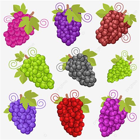 Grapes Graphic Design