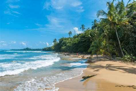 Best Places To Retire In Costa Rica Iguana Surf Shop